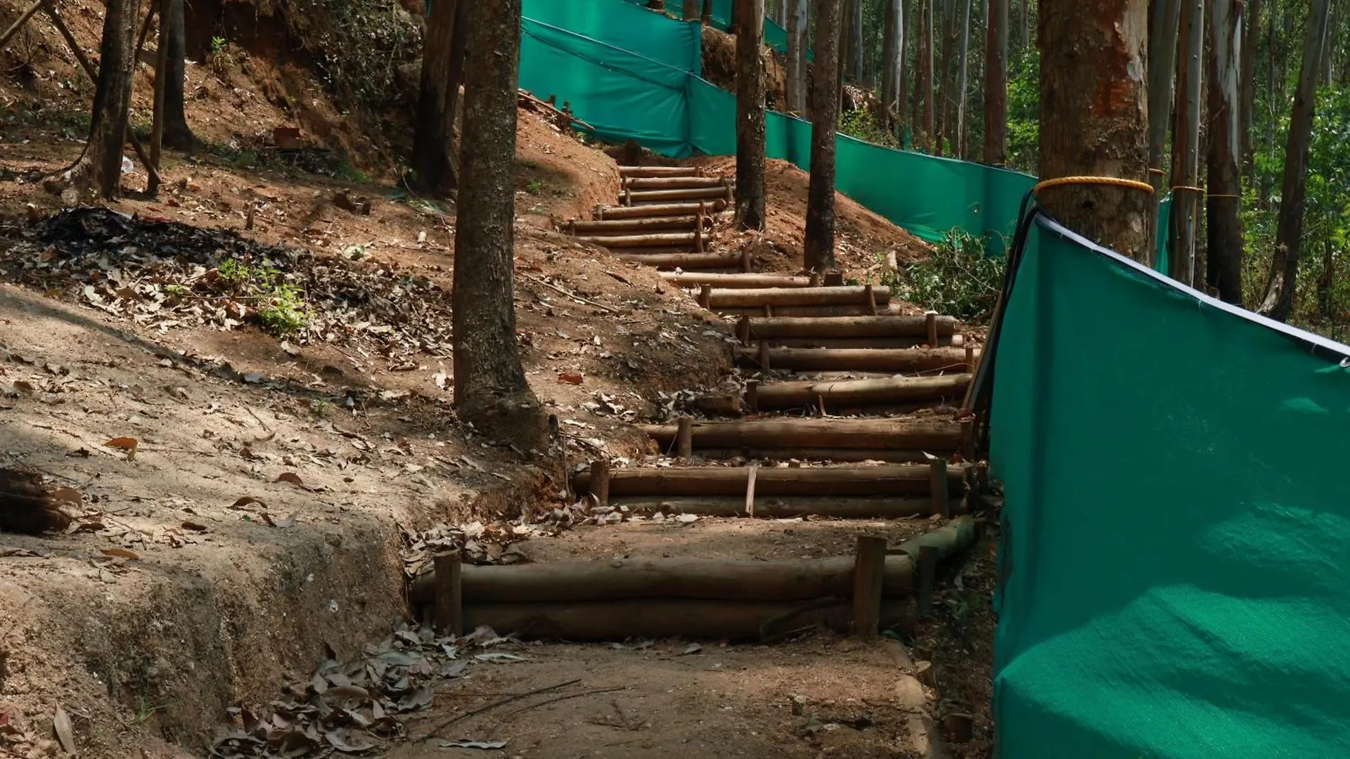 Jumanji The Jungle Home Vattavada インド